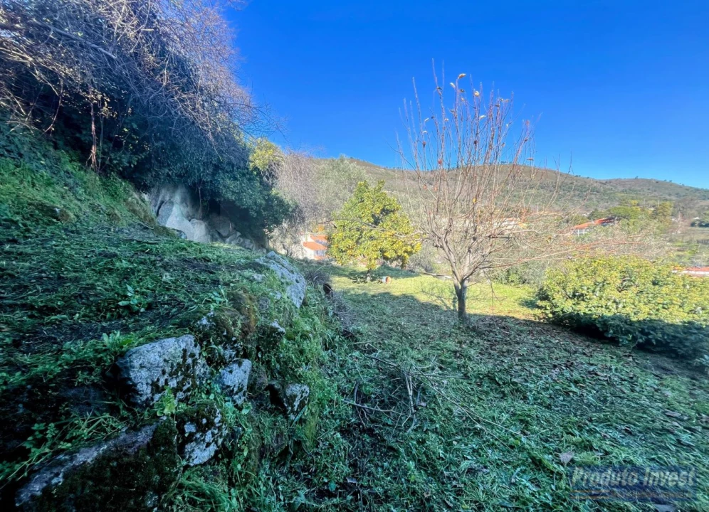 Moradia T3 para Venda em Alpedrinha Foto 29