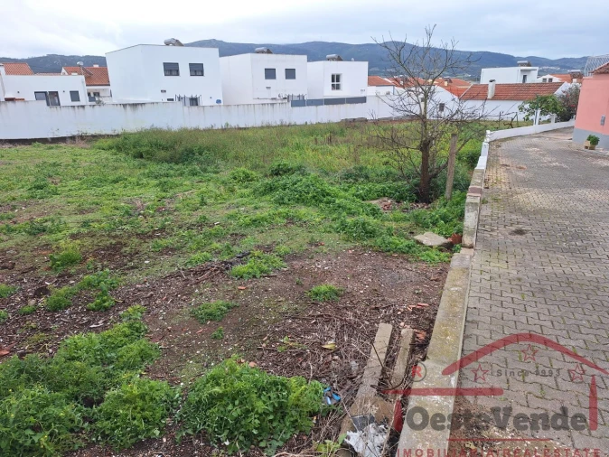 Terreno para Venda em Lamas e Cercal Foto 5