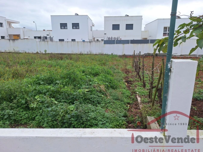 Terreno para Venda em Lamas e Cercal Foto 4