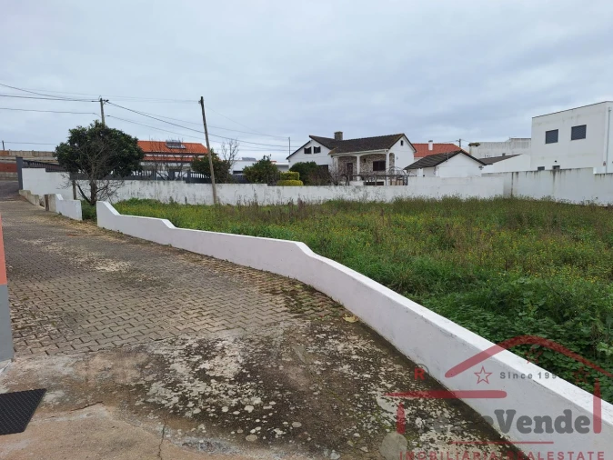 Terreno para Venda em Lamas e Cercal Foto 2