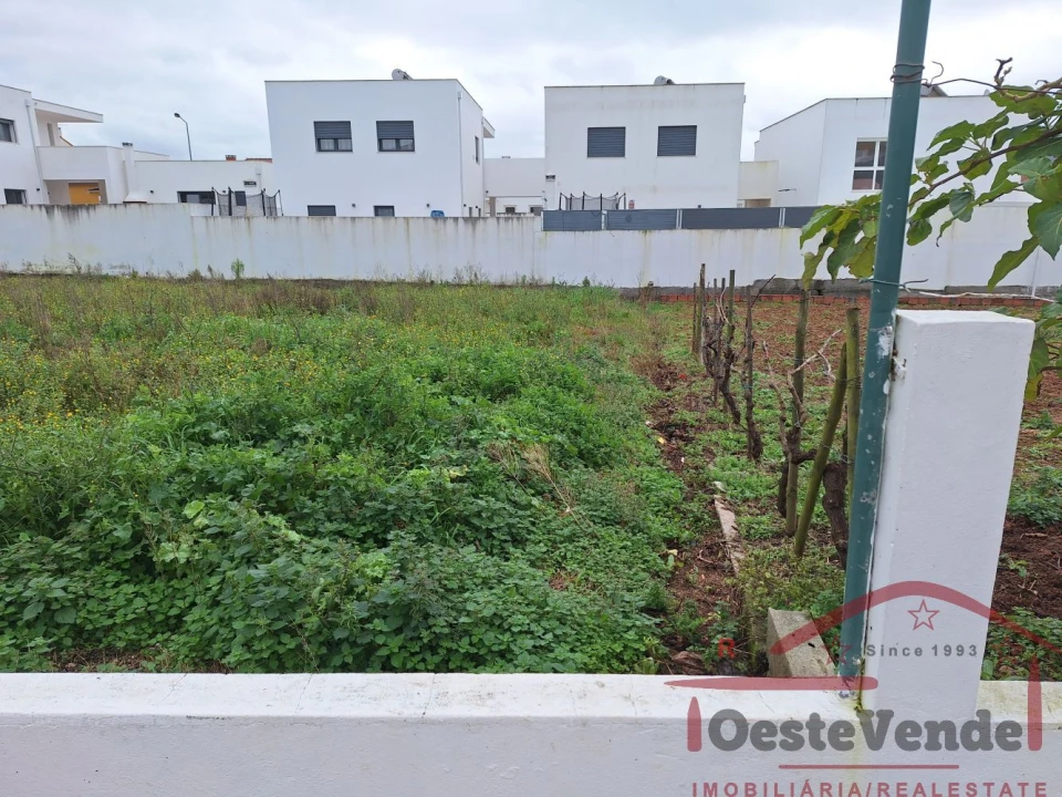 Terreno para Venda em Lamas e Cercal Foto 4