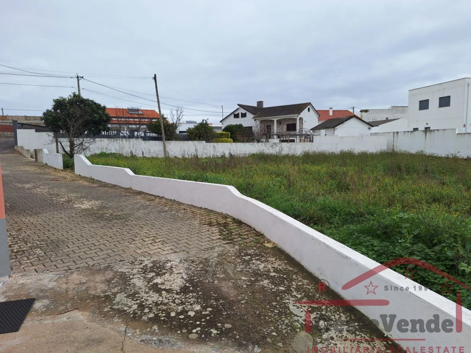 Terreno para Venda em Lamas e Cercal Foto 2