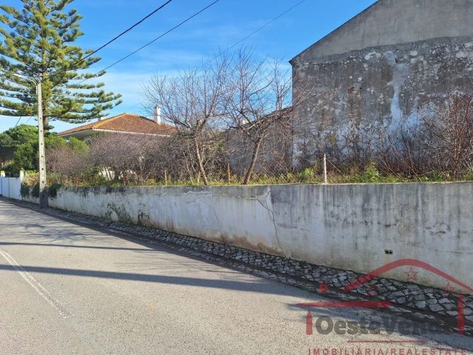 Moradia T2 para Venda em Lamas e Cercal Foto 38