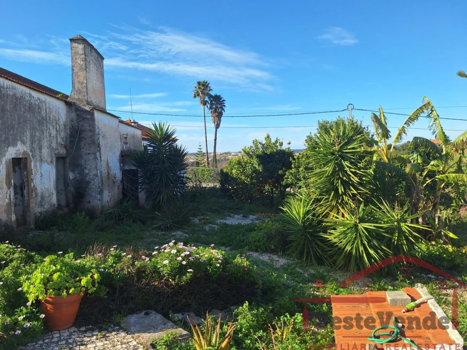 Moradia T2 para Venda em Lamas e Cercal Foto 42