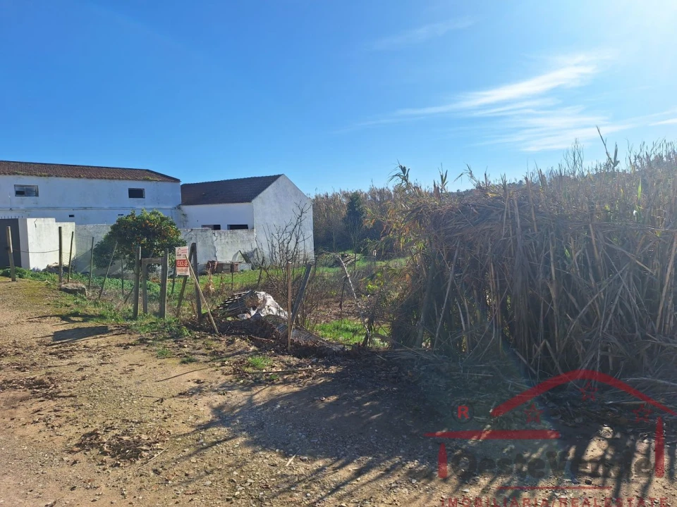 Terreno para Venda em Bombarral e Vale Covo Foto 2