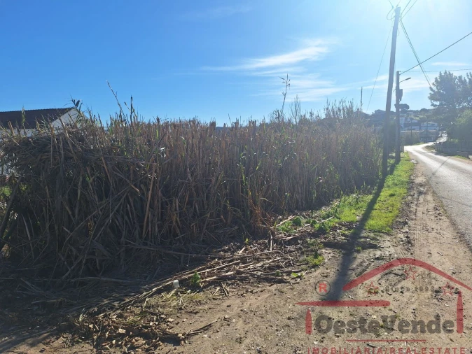 Terreno para Venda em Bombarral e Vale Covo Foto 6