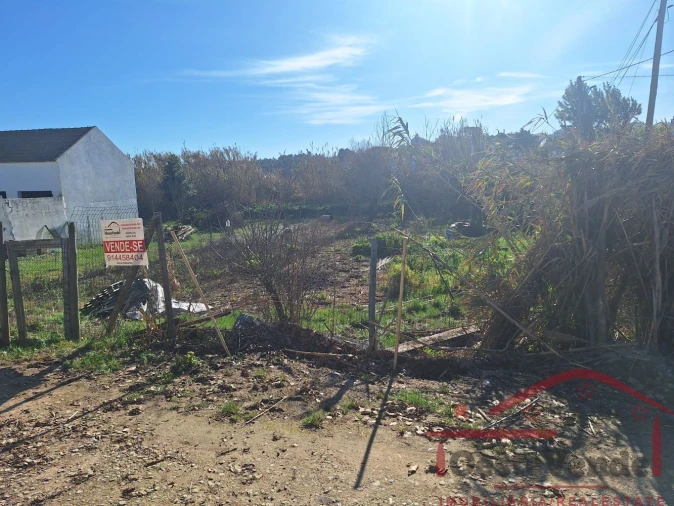 Terreno para Venda em Bombarral e Vale Covo Foto 4