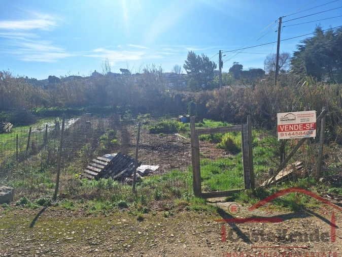 Terreno para Venda em Bombarral e Vale Covo Foto 3