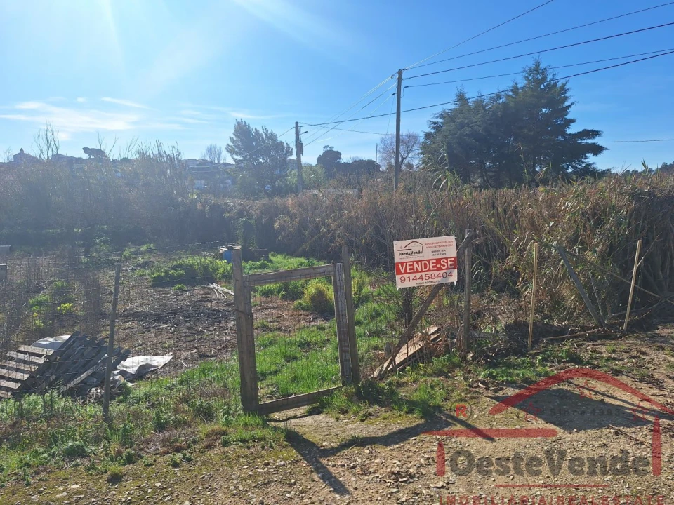 Terreno para Venda em Bombarral e Vale Covo Foto 5