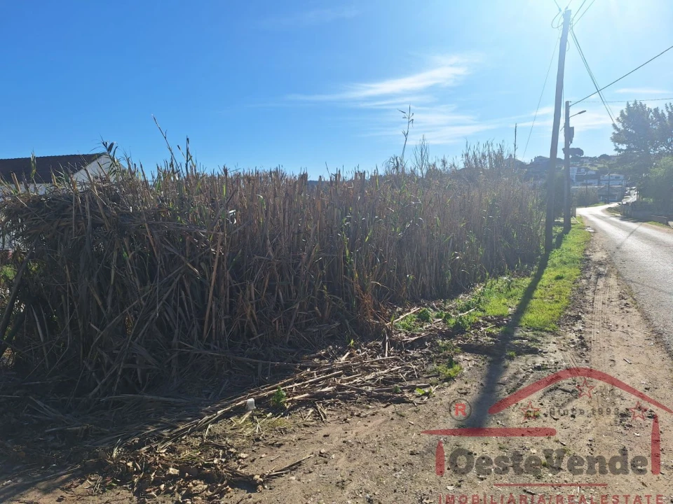 Terreno para Venda em Bombarral e Vale Covo Foto 6