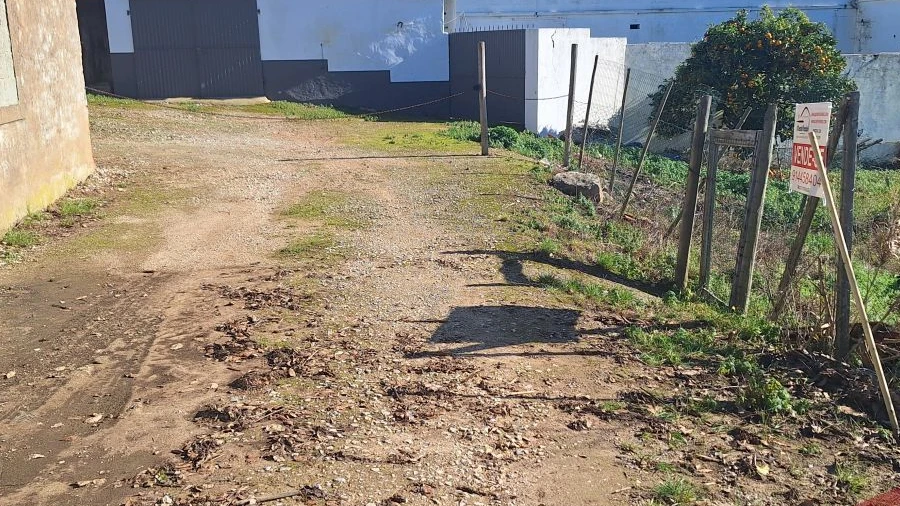 Terreno para Venda em Bombarral e Vale Covo