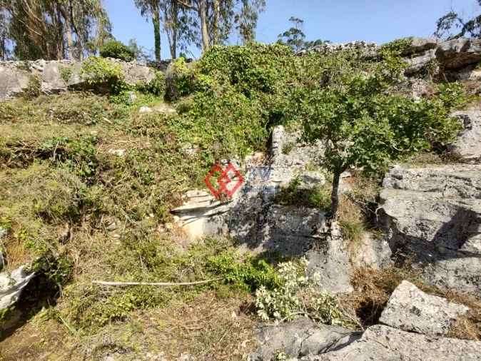 Quinta T2 para Venda em Porto de Mós - São João Baptista e São Pedro Foto 12