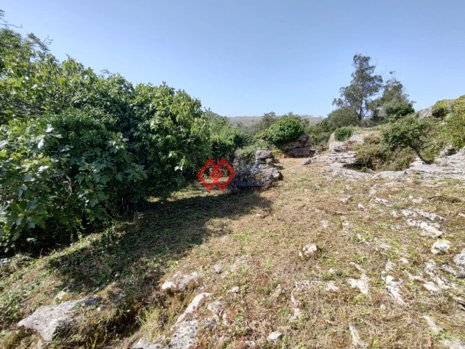Quinta T2 para Venda em Porto de Mós - São João Baptista e São Pedro Foto 13