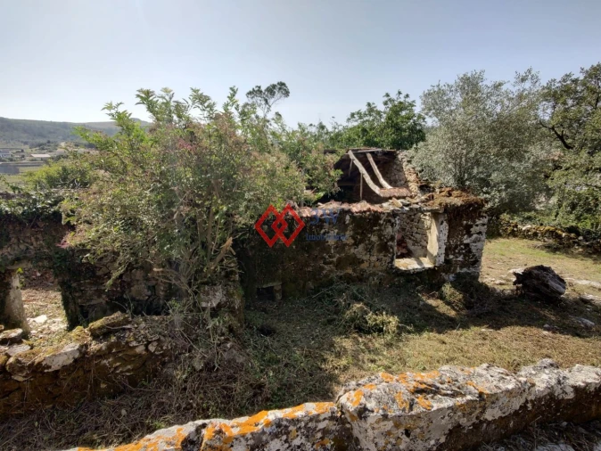 Quinta T2 para Venda em Porto de Mós - São João Baptista e São Pedro Foto 6
