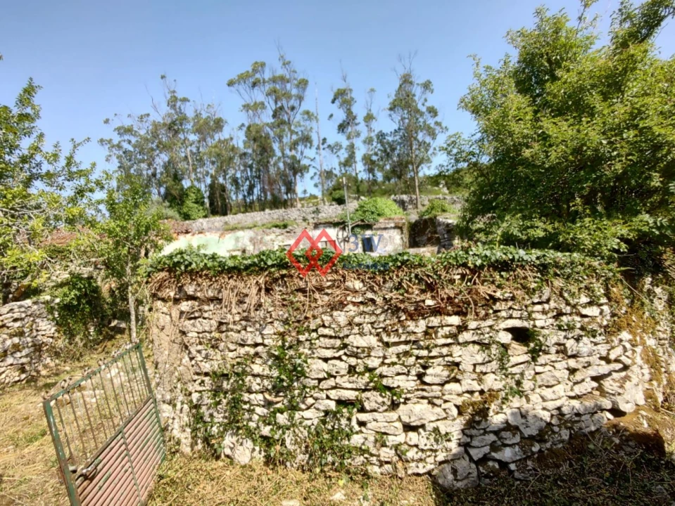 Quinta T2 para Venda em Porto de Mós - São João Baptista e São Pedro Foto 4