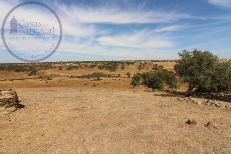 Terreno para Venda em Santa Clara-A-Nova e Gomes Aires Foto 14