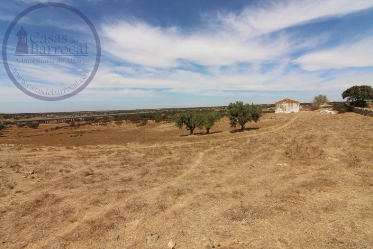 Terreno para Venda em Santa Clara-A-Nova e Gomes Aires Foto 12