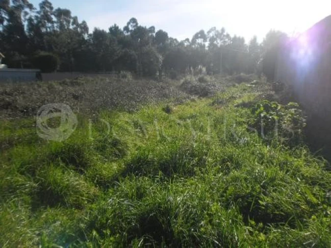Terreno para Venda em Arcozelo