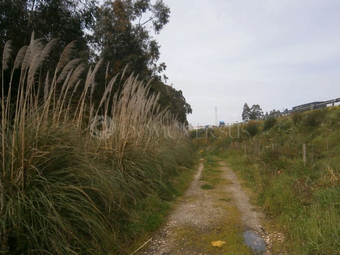 Terreno para Venda em Arcozelo Foto 10