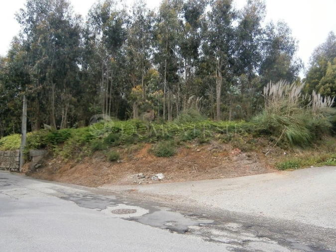 Terreno para Venda em Arcozelo