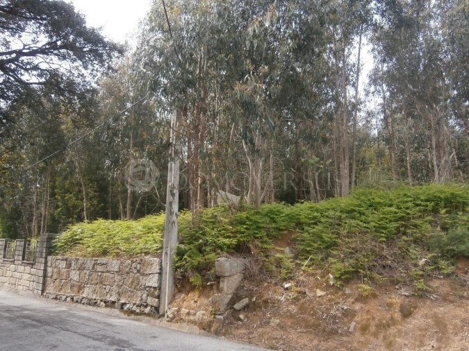 Terreno para Venda em Arcozelo Foto 6