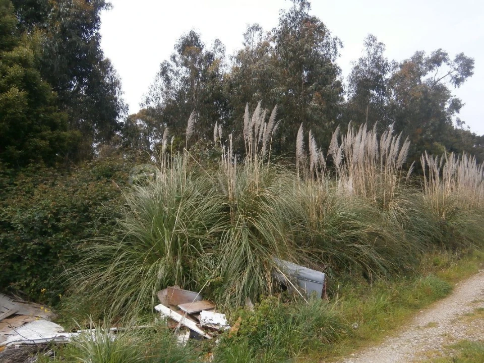 Terreno para Venda em Arcozelo Foto 9