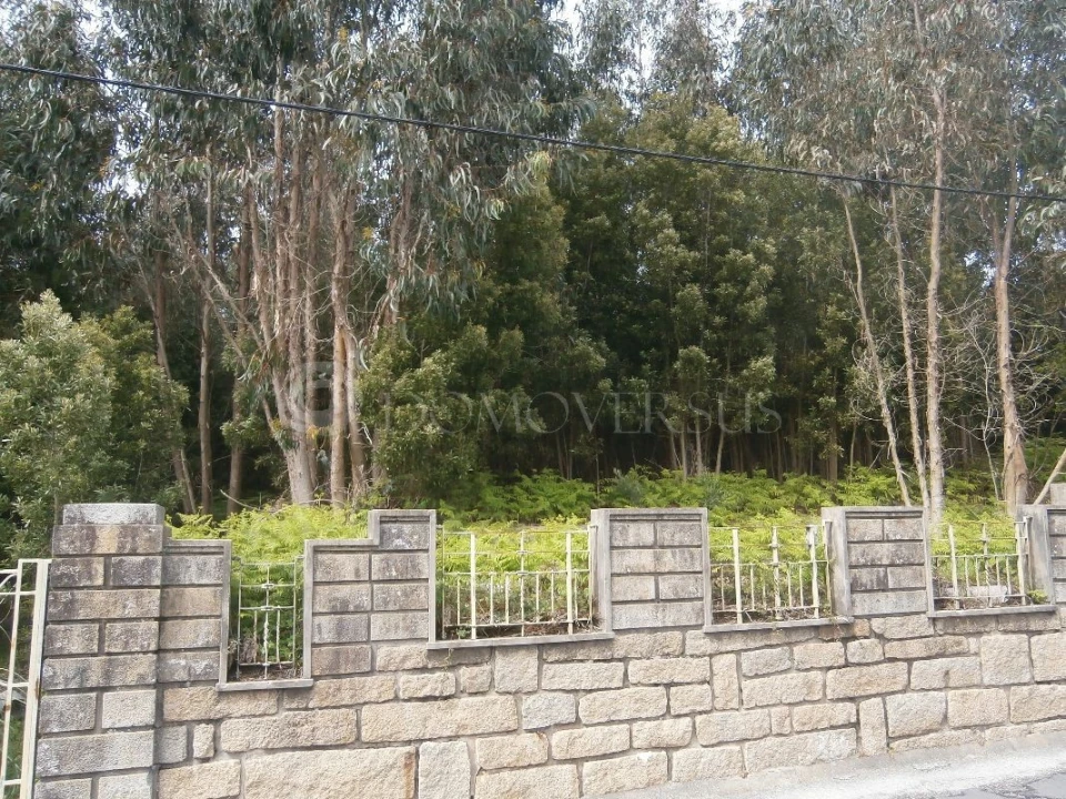 Terreno para Venda em Arcozelo Foto 4