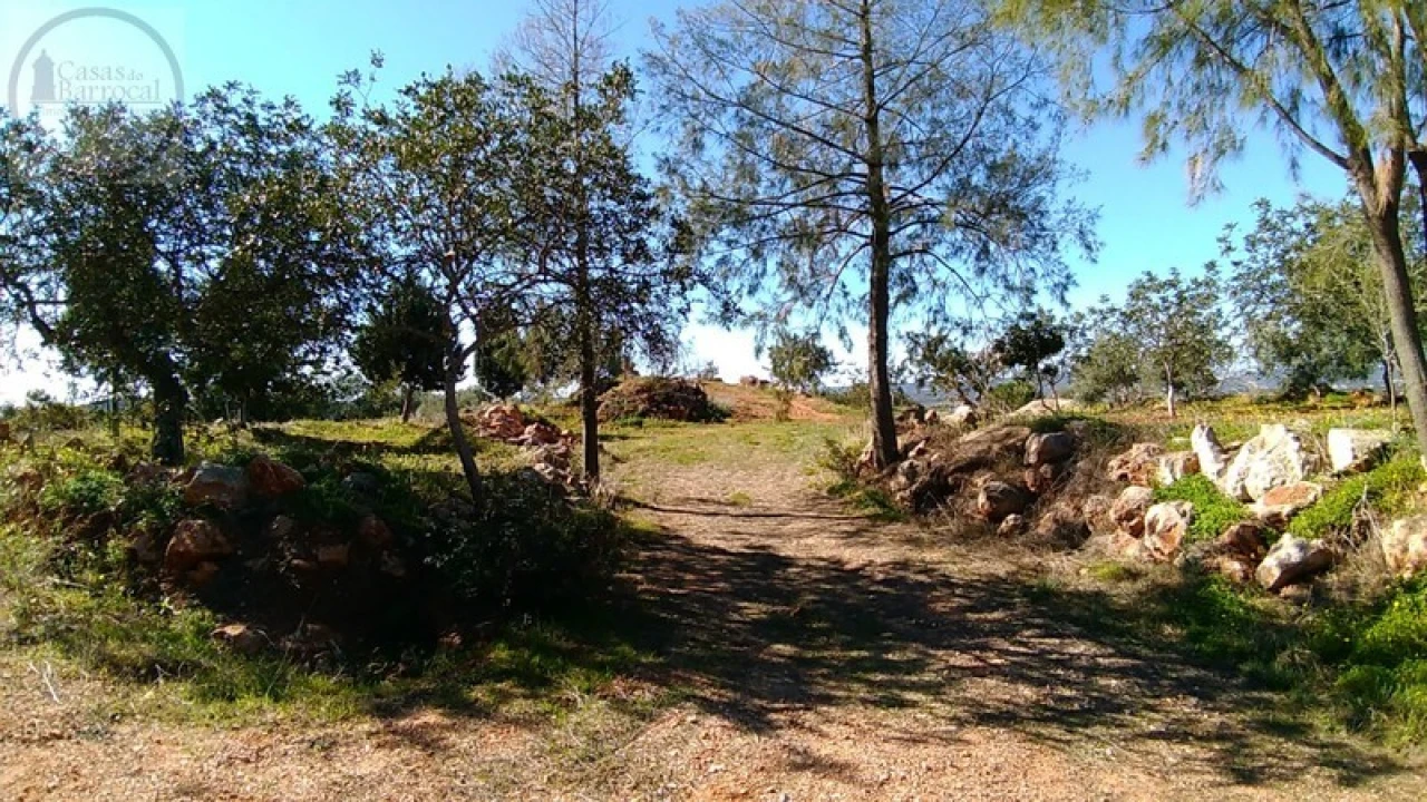 Terreno para Venda em Alte Foto 1