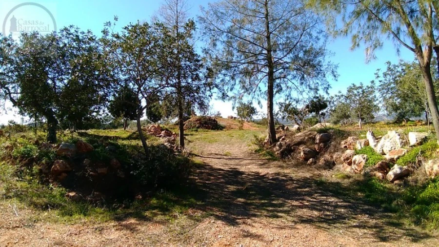 Terreno para Venda em Alte