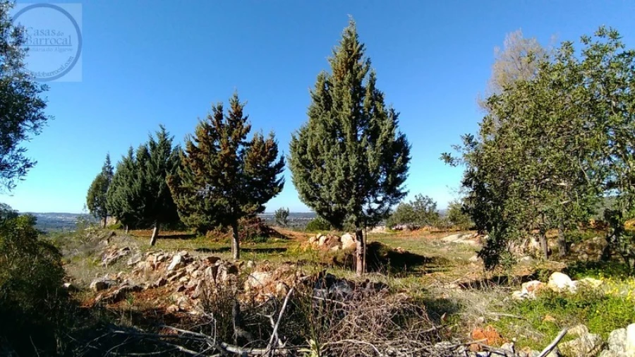 Terreno para Venda em Alte Foto 2