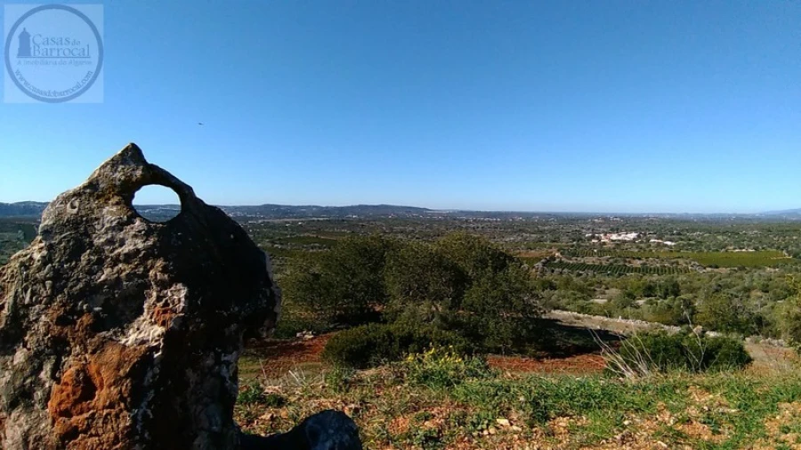 Terreno para Venda em Alte Foto 5