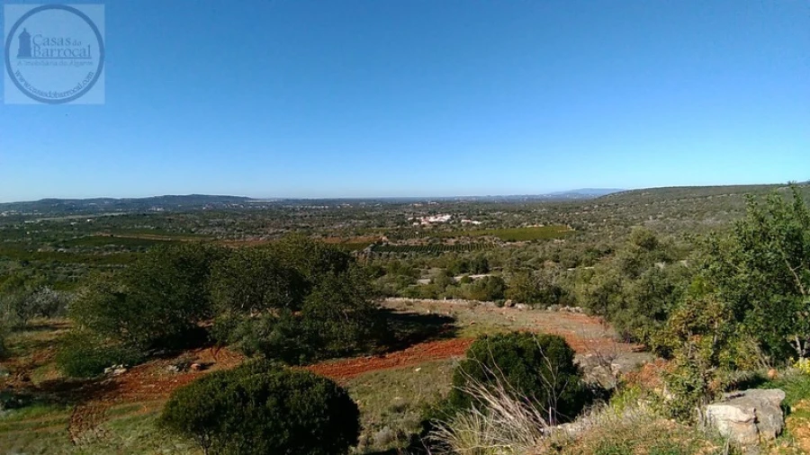 Terreno para Venda em Alte Foto 8