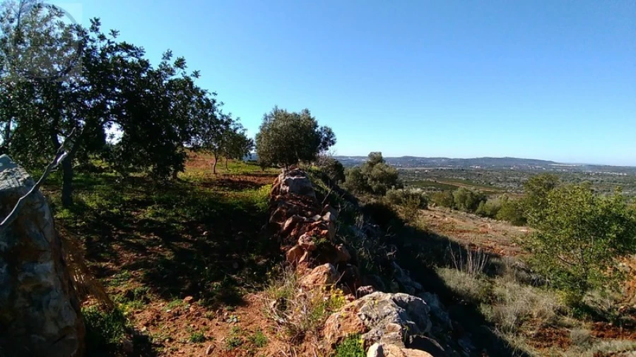 Terreno para Venda em Alte Foto 3