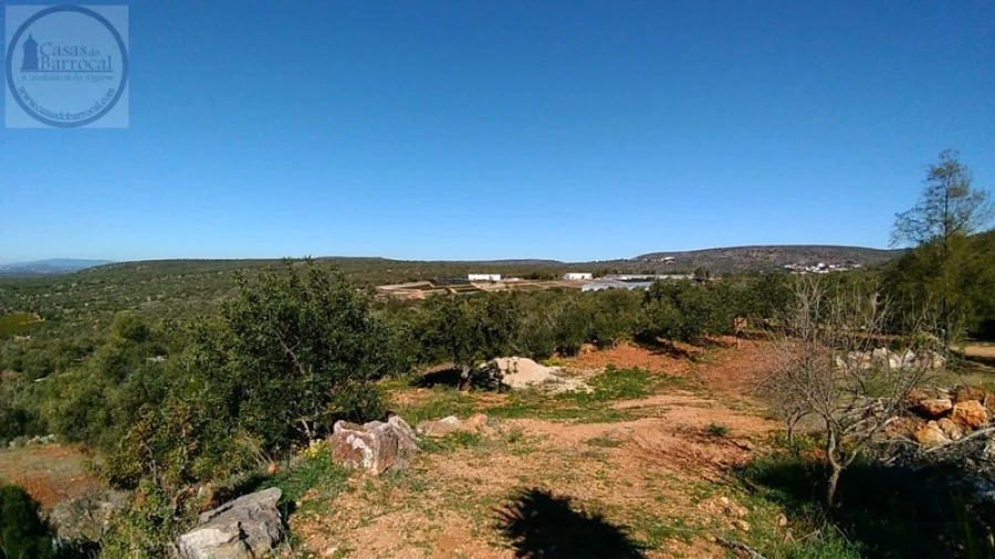 Terreno para Venda em Alte Foto 9
