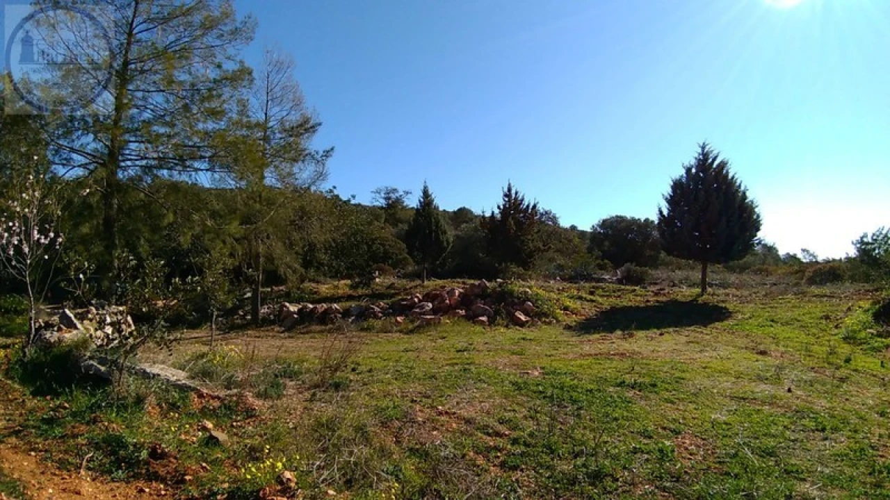 Terreno para Venda em Alte Foto 4