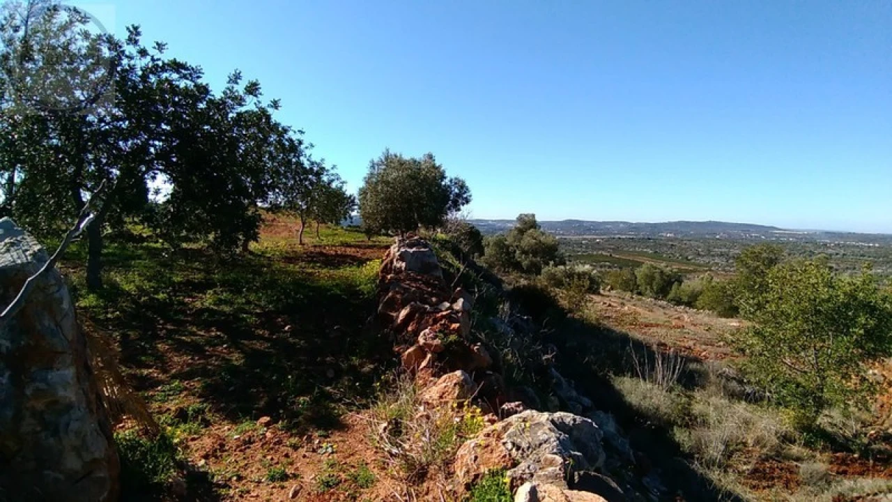 Terreno para Venda em Alte Foto 3