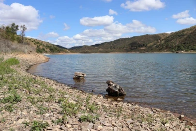 Terreno para Venda em Silves