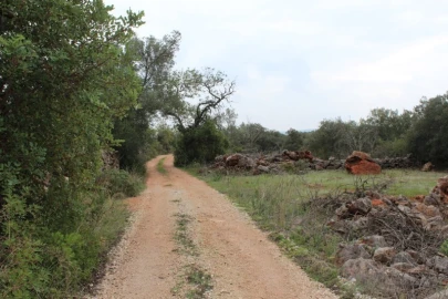 Terreno para Venda em Loule (São Clemente)