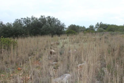 Terreno para Venda em Loule (São Clemente)