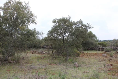 Terreno para Venda em Loule (São Clemente)