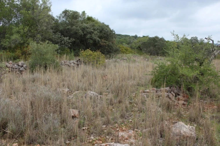 Terreno para Venda em Loule (São Clemente) Foto 4