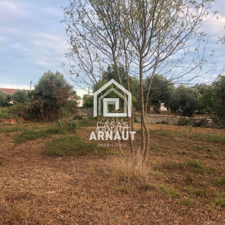 Terreno para Venda em Ansião Foto 6