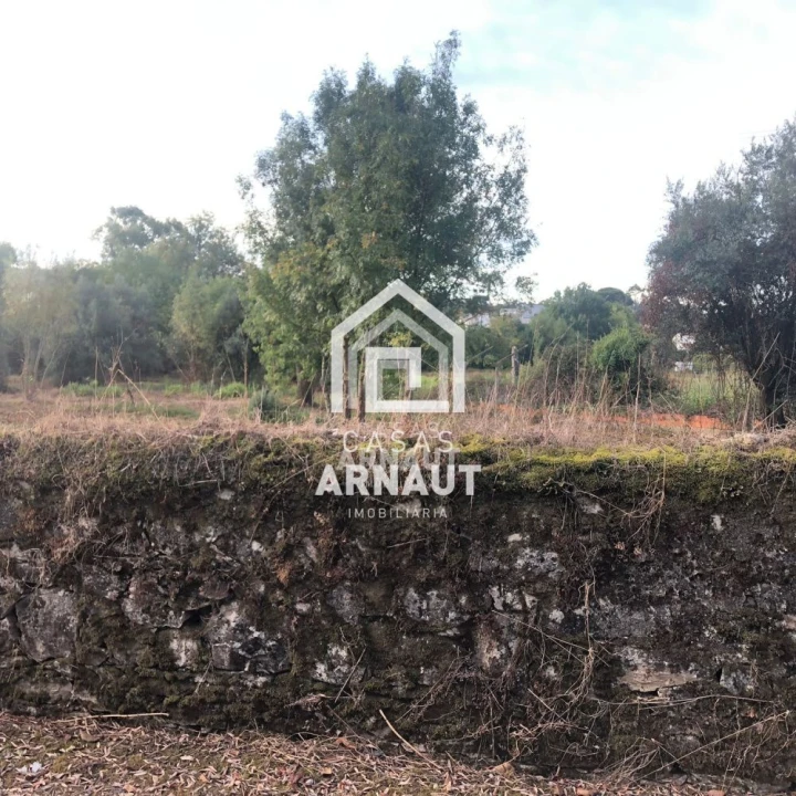 Terreno para Venda em Ansião Foto 10