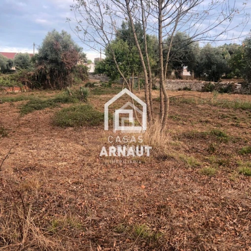Terreno para Venda em Ansião Foto 2