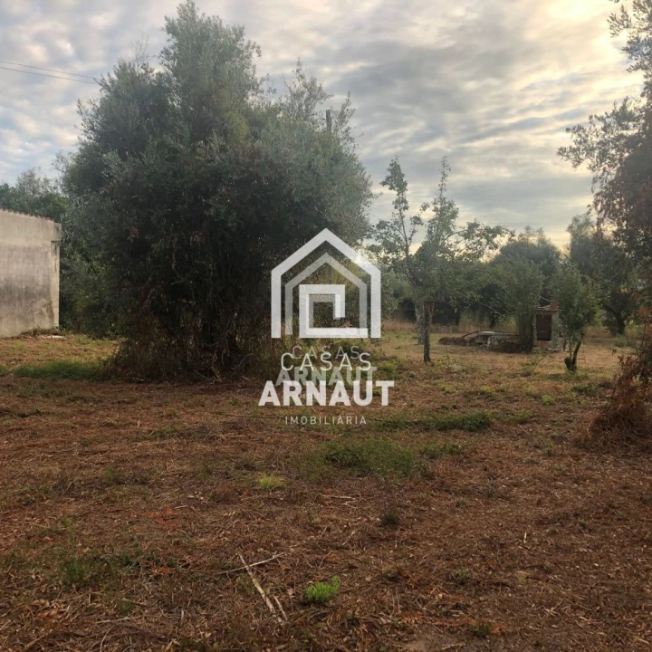 Terreno para Venda em Ansião Foto 5