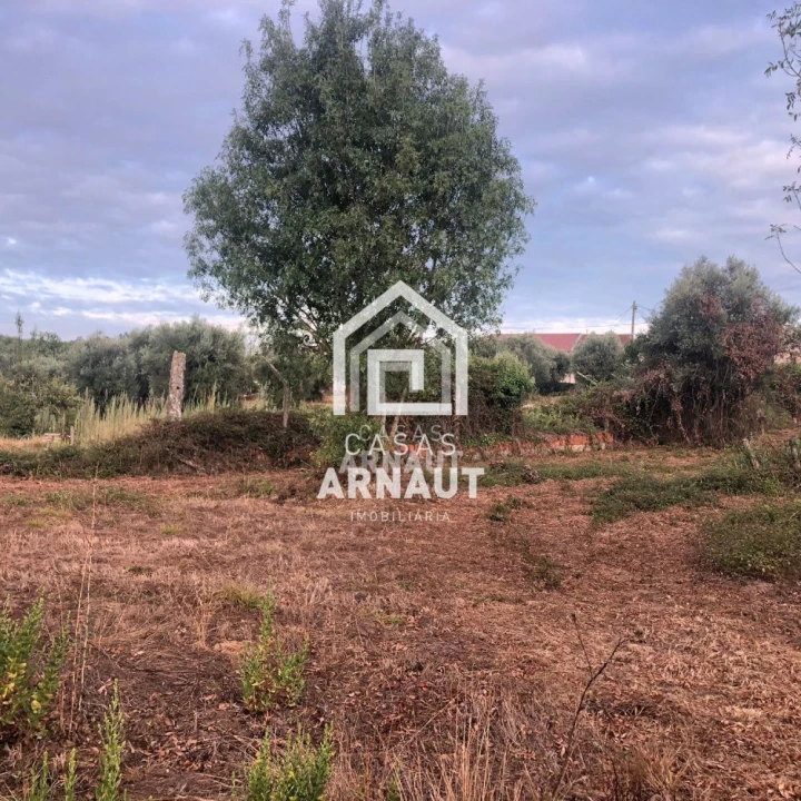 Terreno para Venda em Ansião Foto 7