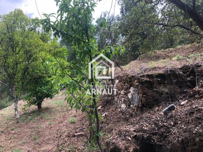 Moradia T2 para Venda em Maçãs de D. Maria Foto 18