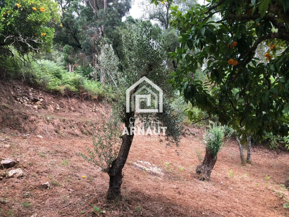 Moradia T2 para Venda em Maçãs de D. Maria Foto 15