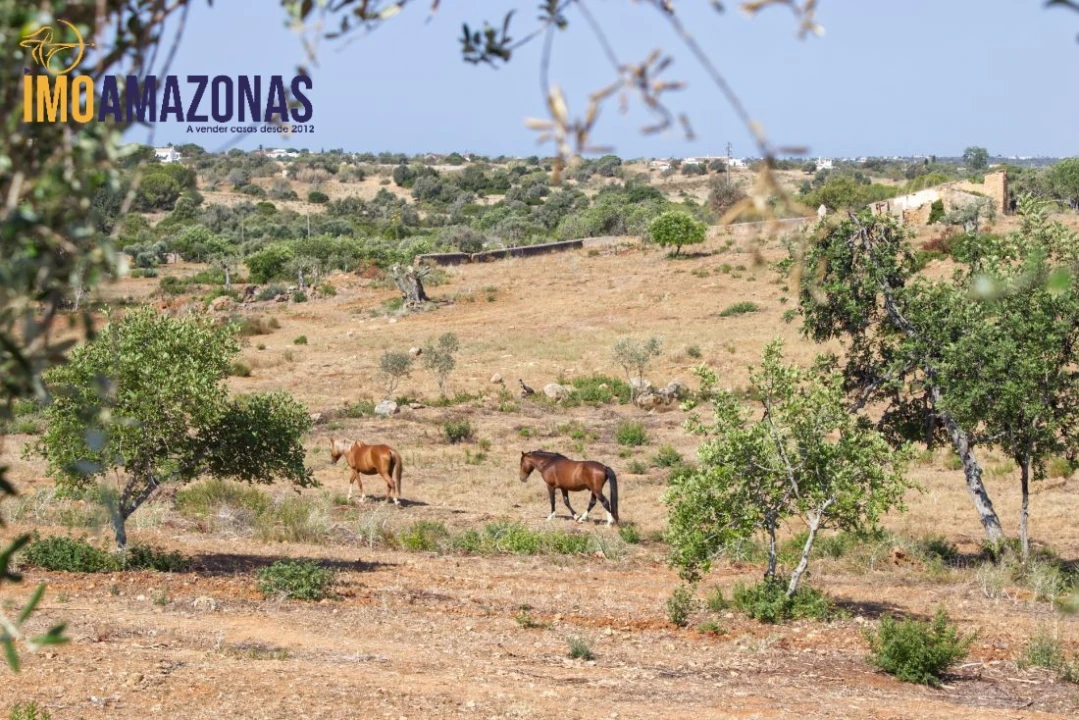 Quinta T0 para Venda em Estômbar e Parchal Foto 7