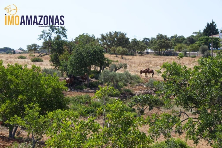 Quinta T0 para Venda em Estômbar e Parchal Foto 8